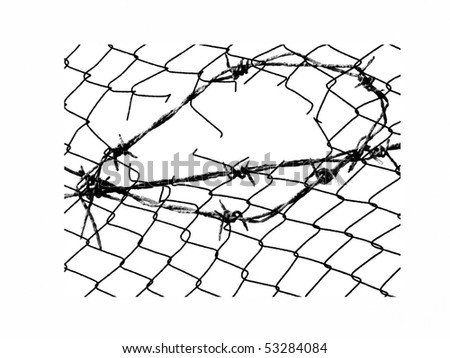 Barbed Wire Fence. Metal barbed wire fence