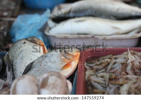 Closed up of fresh shrimp in the market