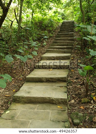 stone path with steps in the jungle