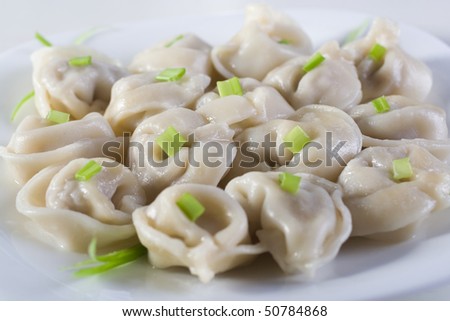 Meat dumplings with green onion