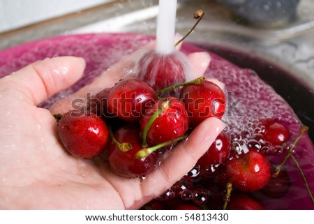 Lady\'s hand holding sour cherries under flowing water