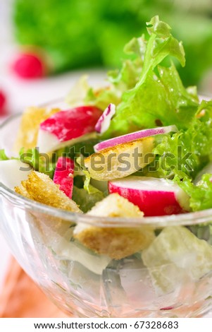 Delicious salad with lettuce leaves, radishes and croutons