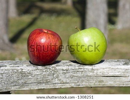 Two apples on a fence