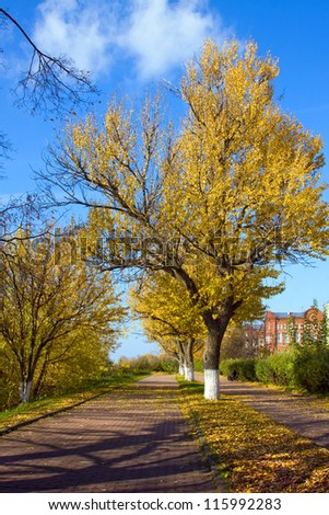 Beautiful nature, autumnal season in city. Golden Autumn in a park