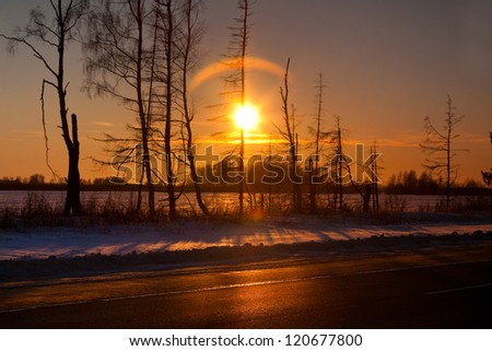 Winter sunset in forest in cold evening
