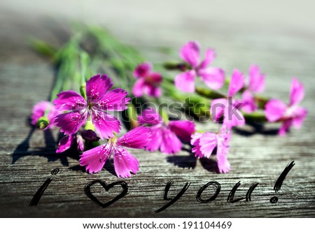 Blossoming wild carnations on wooden background