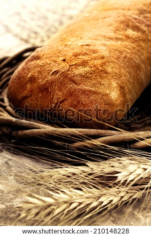 Fresh baked traditional italian bread chiabatta with wheat in basket