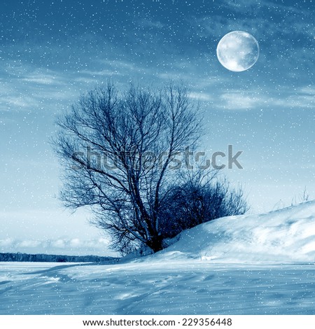 Winter nature, moon and tree and snowstorm
