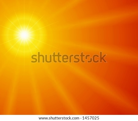 Sunny Rays