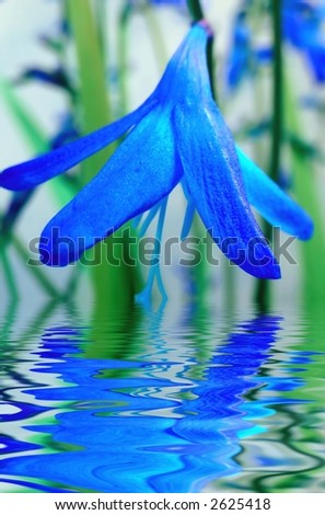 Blue flower reflection in water. Fantasy picture