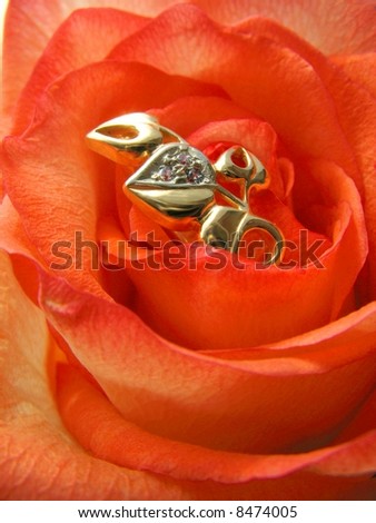 Present-   rose with golden ring