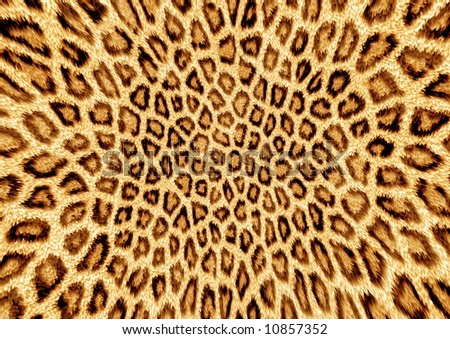Leopard Background on Abstraction Leopard Background Stock Photo 10857352   Shutterstock
