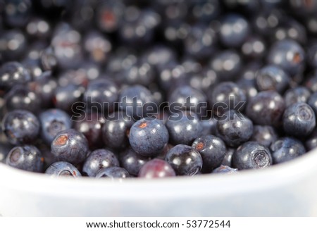 Sweet  bilberries ( whortleberries ) for dessert and vegetarian diet