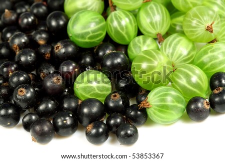 Sweet black-currant ( blackberries )and gooseberries for dessert and vegetarian diet