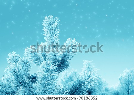 Christmas fantasy with  fir tree and snow in cold day