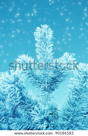Christmas fantasy with  fir tree and snow in cold day