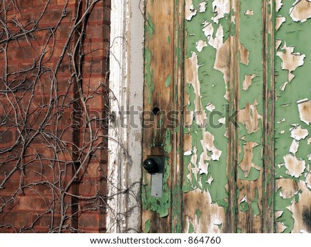 Old wooden door with old paint peeling from it. Beside the doors entrance is a nrick wall covered with growing veins.