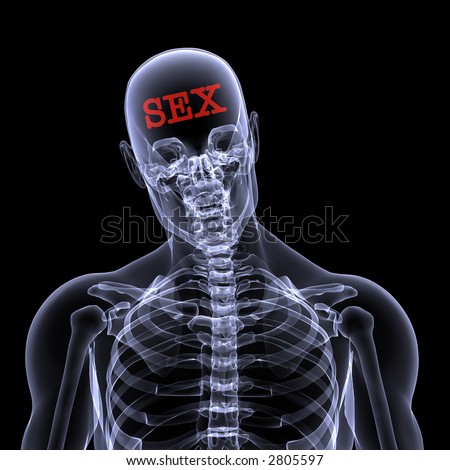 stock photo XRay of a male skeleton thinking about SEX Isolated on