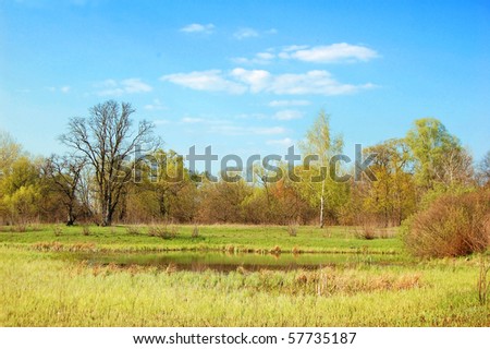 Spring oak and birch tree, lake, meadow and blue sky
