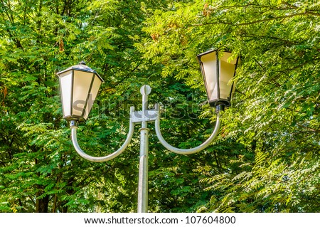 Dual lights in the park against a tree