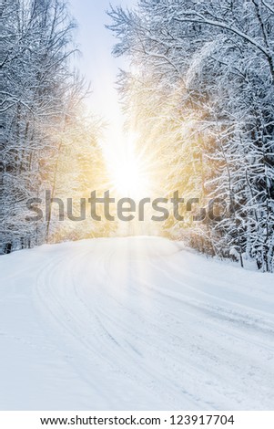 winter landscape with snow-covered forest trees