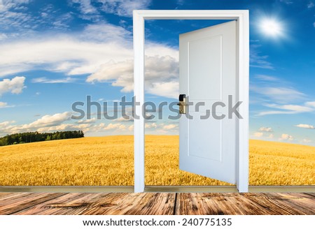 open door with a view of green meadow illuminated by bright sunshine
