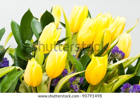 a large bouquet of yellow tulips in spring