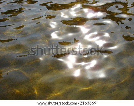 Bronze solar patches of light on water. Summer.
