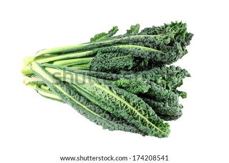 black cabbage, italian kale, tuscan kale, lacinato, isolated