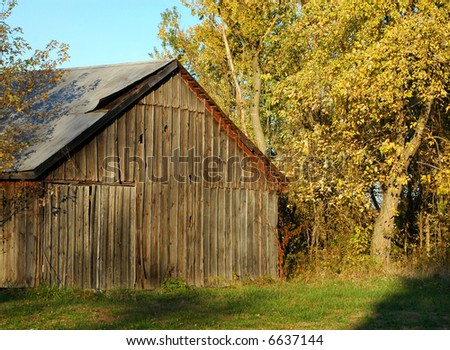 An old barn and  fall colors, on a warm autumn afternoon