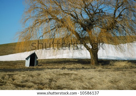 Small shelter by a tree in the Palouse region of southeastern Washington state, in the inland northwest region of the USA.