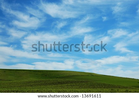 Wispy clouds and a blue sky, over the rolling green hills of the Inland Northwest