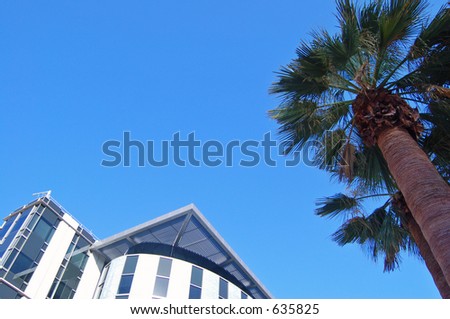 An office building in Sacramento, California with a palm in front.
