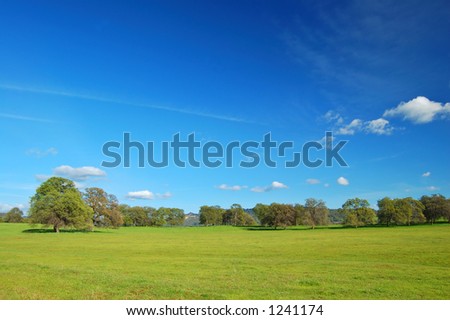 springtime meadow and trees