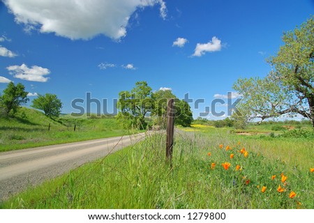 Road in the Country