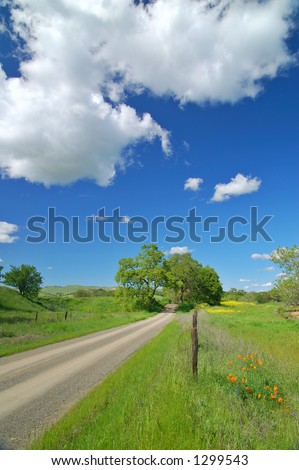 Road in the Country