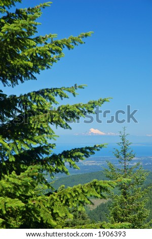 view of Mt. Baker from a ridge in the Olympic Mountains of Washington State