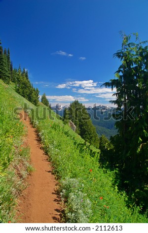 Hiking trail in the mountains, in Washington State\'s Olympic National Park