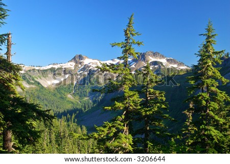 mountain wilderness in Washington State