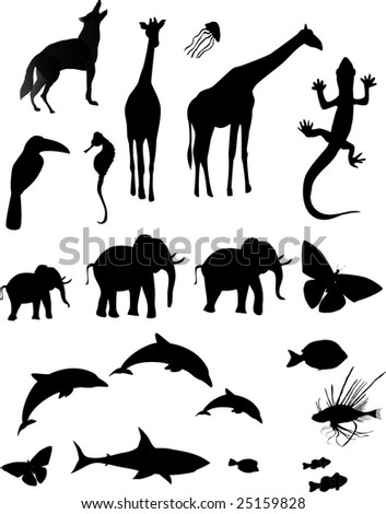 Animals Shapes