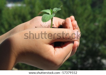 little green sprout in the children\'s hands