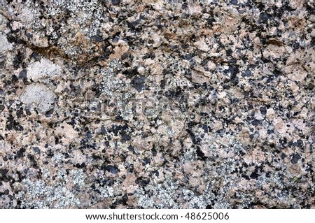 Natural granite stone with moss