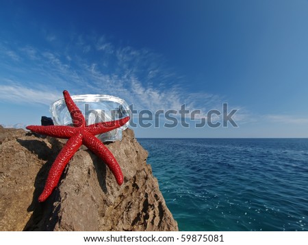 Scuba diving mask, red starfish on a rock by the sea
