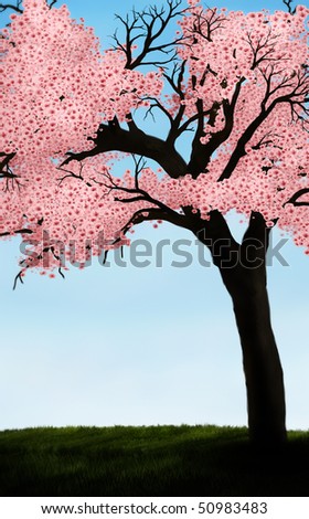 cherry tree drawing in blossom. cherry blossom tree in