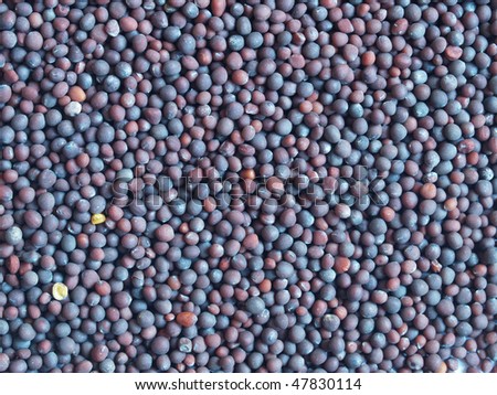 Dark (black) mustard seeds - close up view, can be used as a background