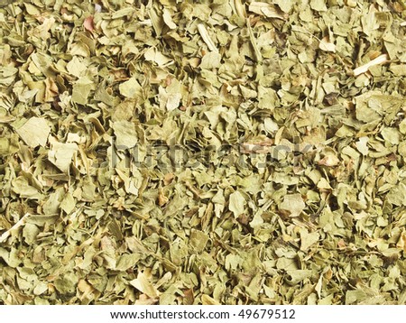 Dried coriander leaves - close-up, can be used as a background