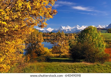 Little lake in a nature protection area. Colorful trees are around the pond. In the back are the beautiful Swiss Alps.