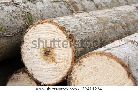 Pile of lumber, cut from the forest.