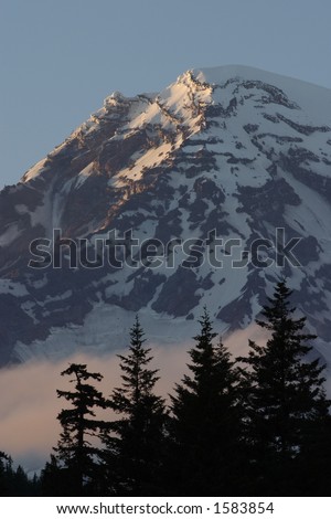 Longmire View of Mount Rainier - Mount Rainier National Park