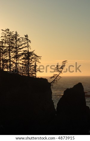 Trees and rocks silhouetted at sunset - Sunset Bay State Park